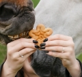 Ciasteczka-dla-koni-CANDY-HORSE-Cynamonki