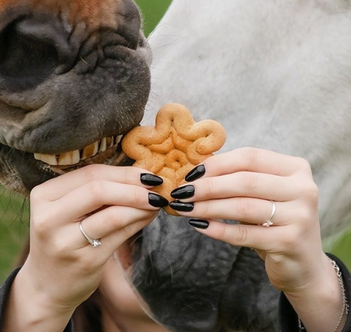 Ciasteczka-dla-koni-CANDY-HORSE-Cynamonki