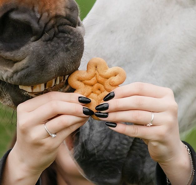 Ciasteczka-dla-koni-CANDY-HORSE-Cynamonki