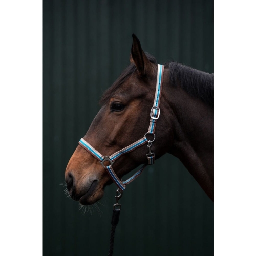 Kantar HKM Genf