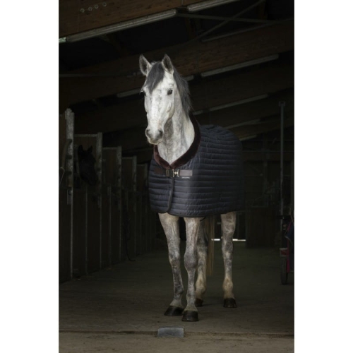 Derka-stajenna-Equi-Theme-Teddy