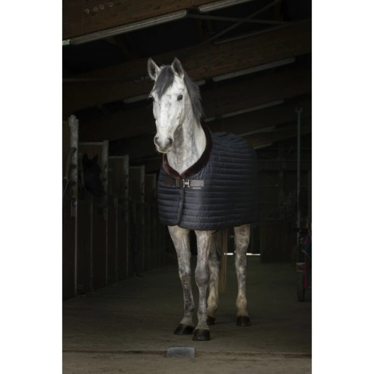 Derka-stajenna-Equi-Theme-Teddy
