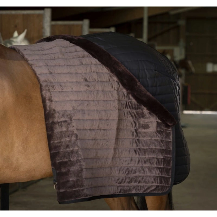 Derka-stajenna-Equi-Theme-Teddy