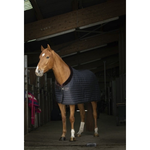Derka-stajenna-Equi-Theme-Teddy