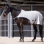 Derka siatkowa do karuzeli BUSSE "Fly Comfort"