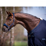 Derka letnia BUSSE Early Season