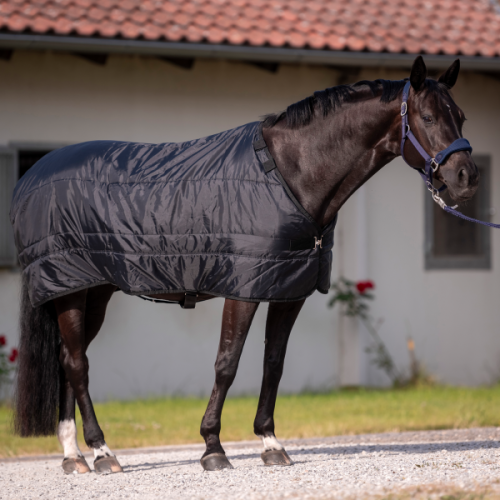 Derka pod derkę BUSSE Noorvik Pro