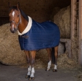 Derka-stajenna-Equi-Theme-Teddy
