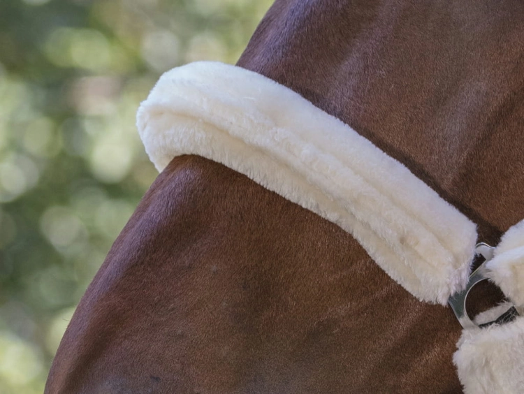 Norton-kantar-Full-Mouton-Synthetique