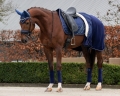 Derka polarowa QHP Brilliance Blueberry