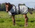 Derka siatkowa źrebięca QHP Foal fly sheet