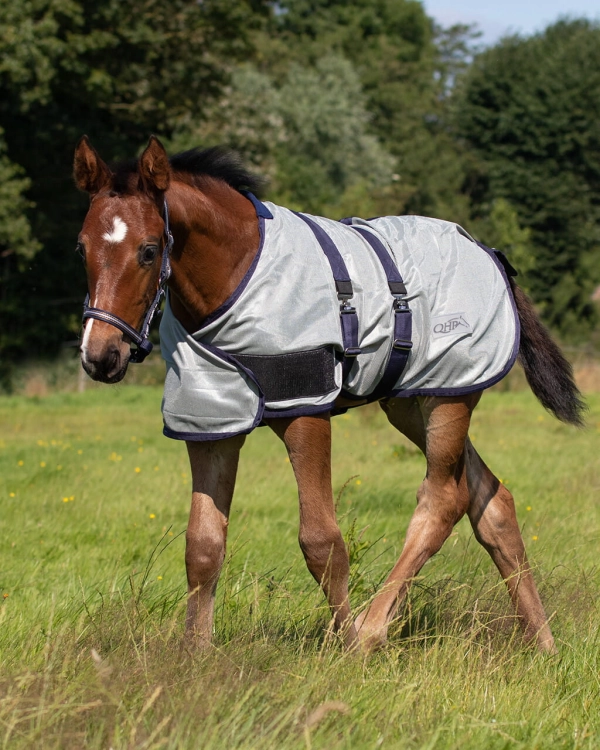 Derka siatkowa źrebięca QHP Foal fly sheet