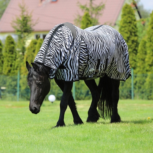 York derka siatkowa z kapturem Zebra