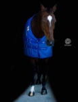 Derka do akupresury Accuhorsemat Cooler with Acupressure Mats