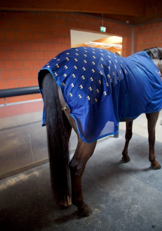 Derka do akupresury Accuhorsemat Cooler with Acupressure Mats
