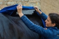 Derka do akupresury Accuhorsemat Cooler with Acupressure Mats