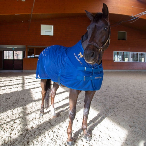 Derka do akupresury Accuhorsemat Cooler without Acupressure Mats