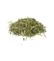 sieczka-alfalfa-gastro-lucerna