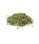 sieczka-alfalfa-gastro-lucerna