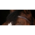 eric-thomas-elite-paris-bridle (3).jpg