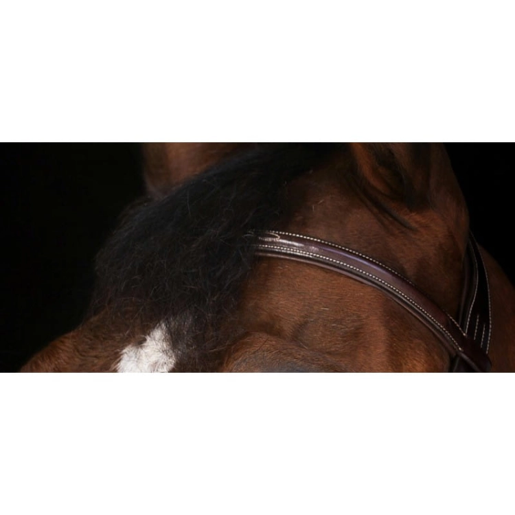 eric-thomas-elite-paris-bridle (3).jpg