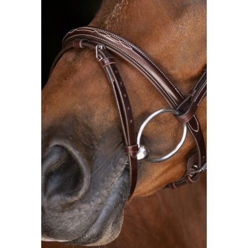 eric-thomas-elite-paris-bridle (2).jpg