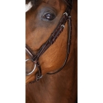 eric-thomas-elite-paris-bridle (1).jpg
