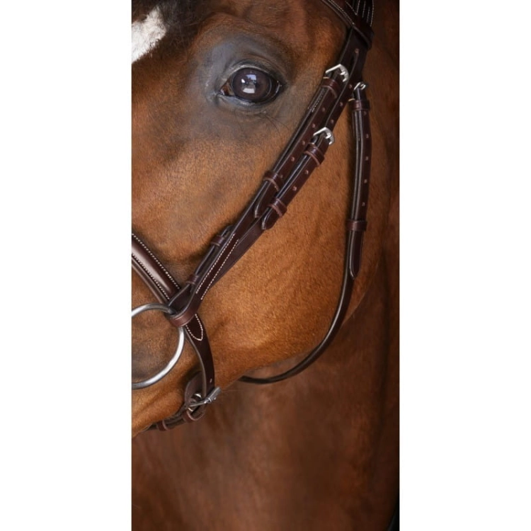 eric-thomas-elite-paris-bridle (1).jpg