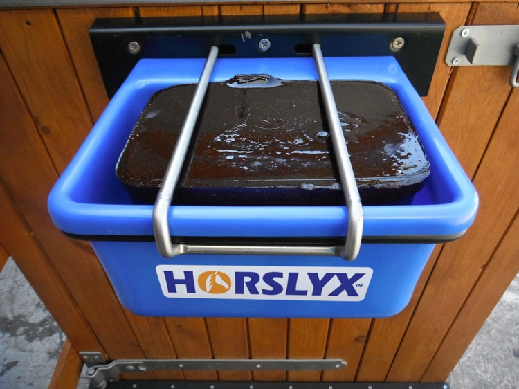 Pojemnik na lizawkę HORSLYX