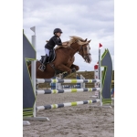 equitheme-soft-classic-competition-jacket (9).jpg