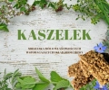 Ciastka dla koni Końska Cukierenka JMSHorse Treats.