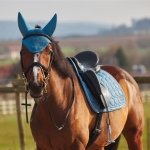 nauszniki-wygluszajace-horze-marquess