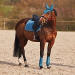 wszechstronny-czaprak-horze-marquess