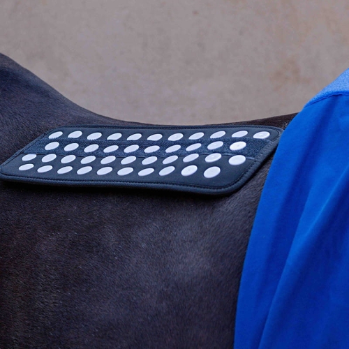 Podkładka do akupresury Accuhorsemat Back Acupressure Mat.jpg