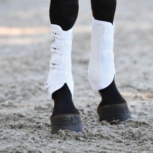 Ochraniacze ujeżdżeniowe BUSSE Dressage Pro Mash
