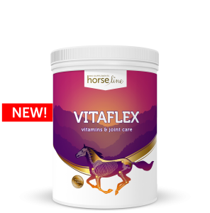 Witaminy z MSM HorseLinePRO "VitaFlex" 2kg 24h