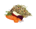 DIGEST_PRODUCT_WEB.png