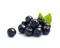 Aronia EQUIHERBS owoc