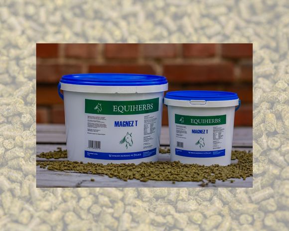 equiherbs-magnez-t.jpg