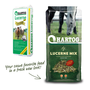 LUCERNEMIX-PACK-nowe