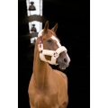 equitheme-teddy-headcollar (3).jpg