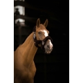 equitheme-teddy-headcollar (7).jpg