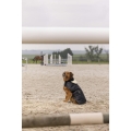 diego-louna-teddy-fleece-rug (2).jpg