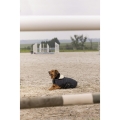diego-louna-teddy-fleece-rug (3).jpg