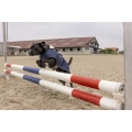 diego-louna-teddy-fleece-rug (9).jpg