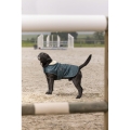 diego-louna-teddy-fleece-rug (10).jpg