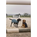 diego-louna-teddy-fleece-rug (11).jpg