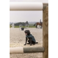 diego-louna-teddy-fleece-rug (12).jpg