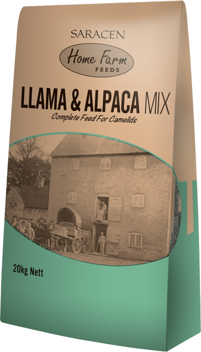 Musli dla lam i alpak  Saracen "LLama & Alpaca Maintenance Mix"