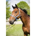 Kantar Equi Theme "Eclat"